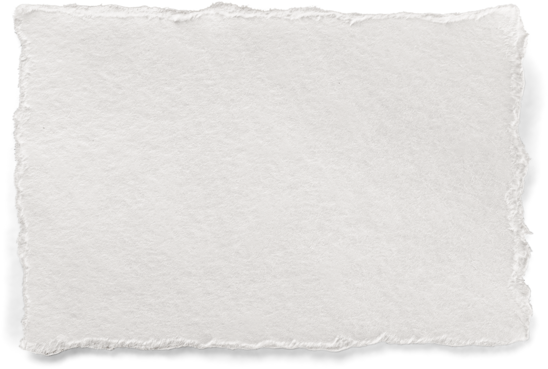 Rough White Paper